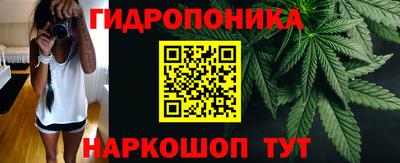 прущие крисы Бердск