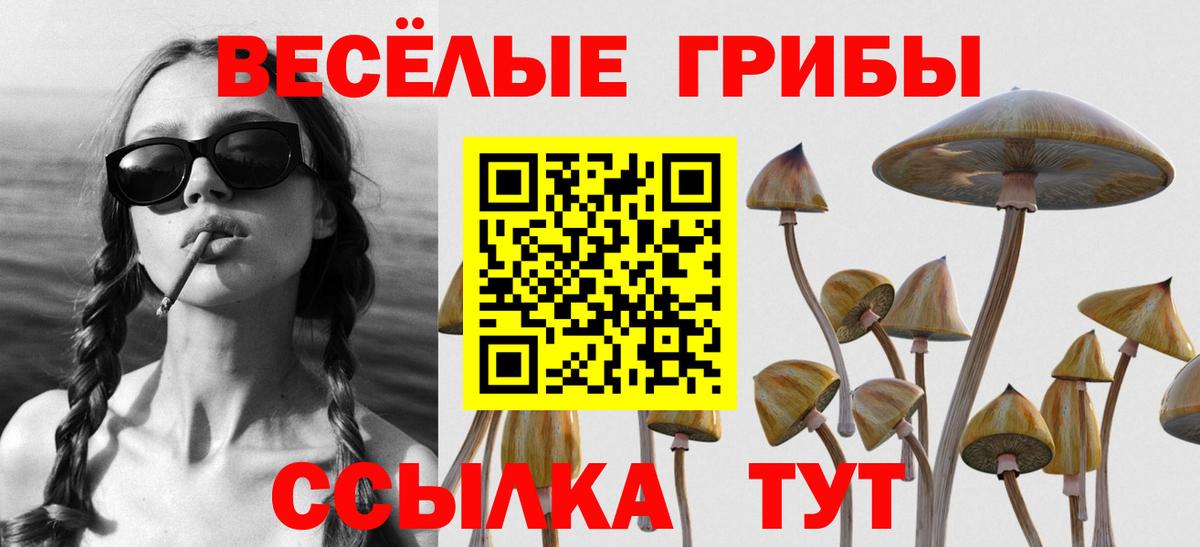 Галлюциногенные грибы Magic Shrooms Ижевск